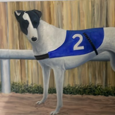 GreyhoundMaisie Profile Picture