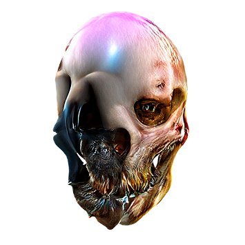 💀 Lord Skull 💀さんのプロフィール画像