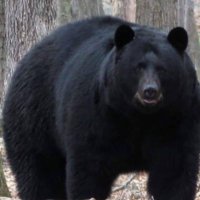csamsmith (@csamsmith) 's Twitter Profile