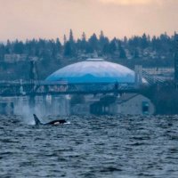 AirWaterLand Photography (@airwaterlandcom) 's Twitter Profile Photo