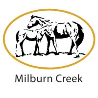 Milburn Creek Stud(@Milburn_Creek) 's Twitter Profile Photo