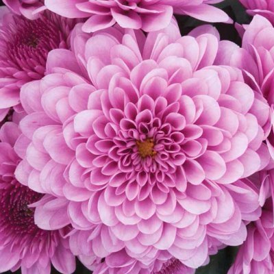 @BouBou59322823