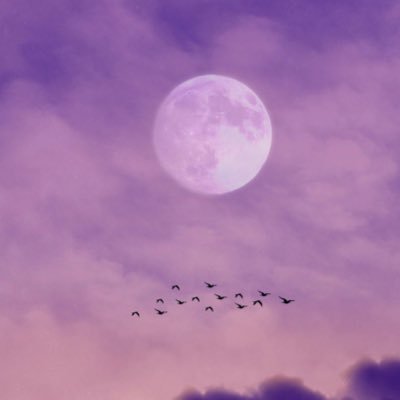 girizenlife's profile picture. Ordinary human with diverse passions: politics, sports, cinema. 🌍🎥 Music enthusiast 🎶 Let's explore the world through different lenses and tunes!