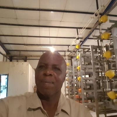 un de grands médecins vétérinaires de la rdc avoir élevé plus de six millions de poules pondeuses en elevage intensifis en rdc( un record)