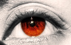 AnaFishingEagle's profile picture. 