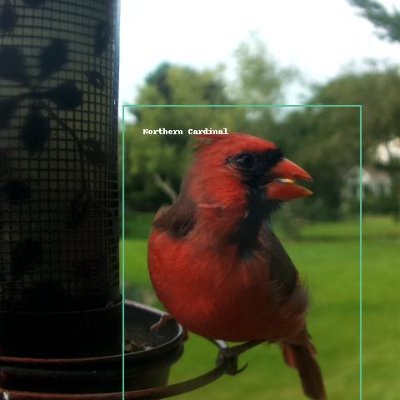 Rasp Pi 4 running Machine Learning model to id birds.  Follow / Follow back