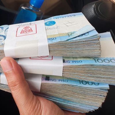 travelleralt's profile picture. Curious and Traveller