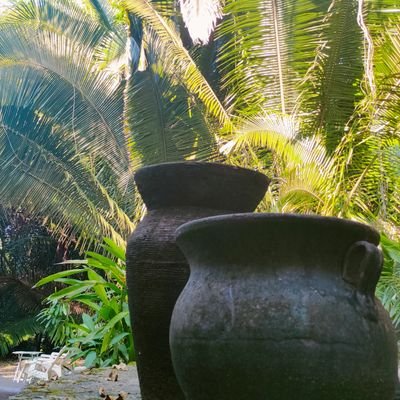 5mprender's profile picture. Humano, mas de lo normal menos del ideal.