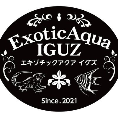 exoticaquaiguz Profile Picture