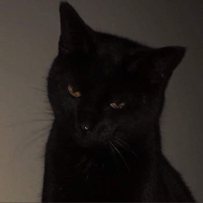 ioiorong's profile picture. 24 anos, sempre estudando ou dormindo.
🐥 𝔸ℍ𝔾𝔸𝕊𝔼 🐥

𝙹𝙹 𝙿𝚛𝚘𝚓𝚎𝚌𝚝 - 𝙸𝚌𝚊𝚛𝚞𝚜
0:35 ━❍──────── -3:09