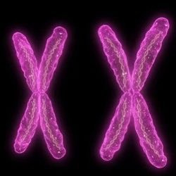 GenderCritFem's profile picture. Adult human female. Tweeting stuff that I can’t tweet on my main account without getting fired.