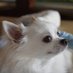 ラピ (@6gy3zehotzrzkgp) Twitter profile photo ラピ (@6gy3zehotzrzkgp) Twitter profile photo