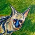 Susan Daigle-Leach (@colorfauna) Twitter profile photo Susan Daigle-Leach (@colorfauna) Twitter profile photo
