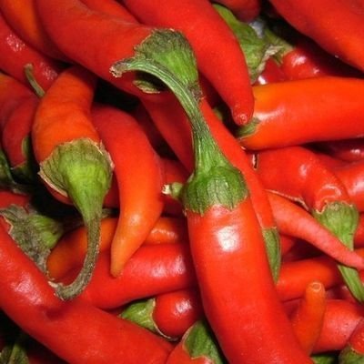 Spicy McSpiceさんのプロフィール画像