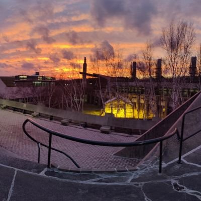 RenzoniSterling's profile picture. Aspiring Organic Chemistry Researcher and Mental Health Advocate