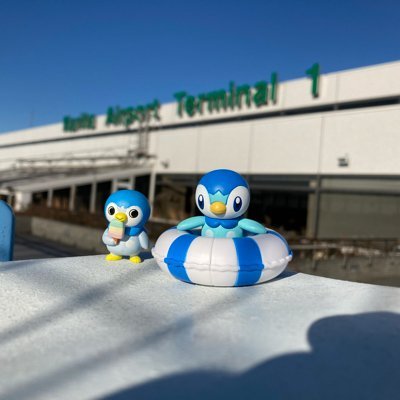 tyouroumust17's profile picture. ポチャポチャア！