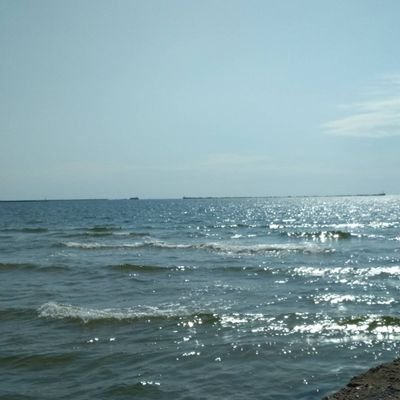 daaaiga's profile picture. 4444