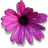 caramiamew's profile image