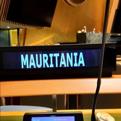 Permanent Mission of Mauritania to the UN Profile