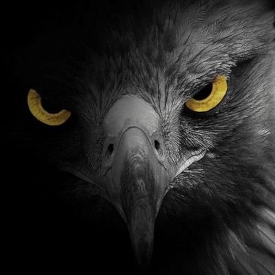 8harf3hece1903's profile picture. 