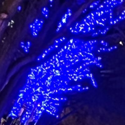 mpmpatdg's profile picture. TOEIC715点 目標850点 英検準1級 技術士(鋼構造及びコンクリート)コンクリート技士 コンクリート診断士