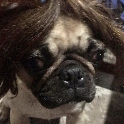 vickynr09's profile picture. 🦅🐣