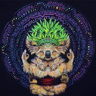 fairdinkydi's profile picture. self development, crypto and lolz