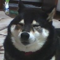 sibakuro690's profile picture. 