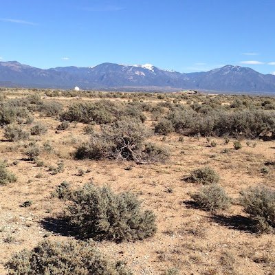 Bachmeier0214's profile picture. 