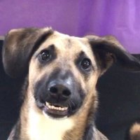 reilly (@reillyrooo) 's Twitter Profile
