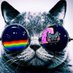 Rocking Kittens (@kittensrocking) Twitter profile photo Rocking Kittens (@kittensrocking) Twitter profile photo