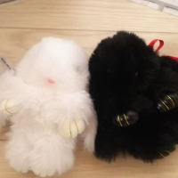 れN (@rereren_c_ql) 's Twitter Profile