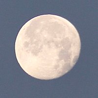 Laura Shell FRAS 🔭🔭📷🌌 (@laurashell2) 's Twitter Profile Photo