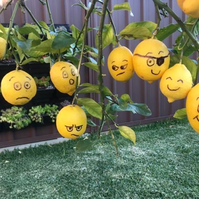 Fogarado's profile picture. Professional Plate Spinner with the NSW Department of Education.