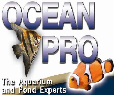 Corals, Aquarium Supplies and more to the Public Direct!