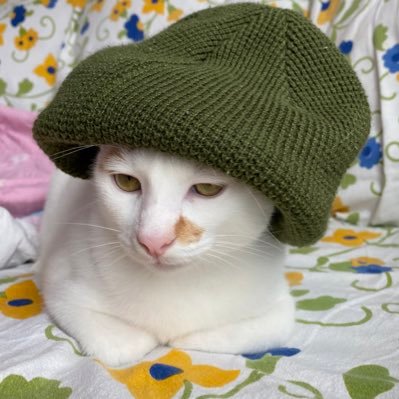 buhbruhbro's profile picture. 🅱️ean