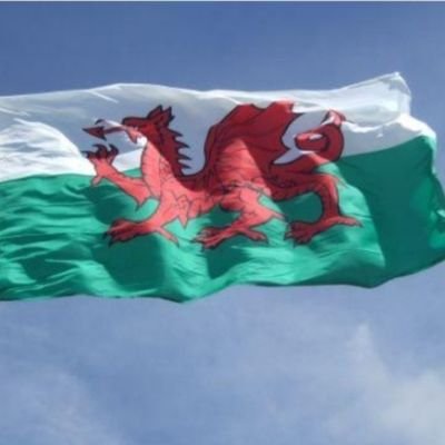 NewidYnDod1864's profile picture. 🏴󠁧󠁢󠁷󠁬󠁳󠁿🍻