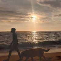 Crypto | CRONOS (@jaffnacrypto) 's Twitter Profile