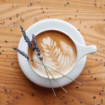 HYBE Barista ☕さんのプロフィール画像