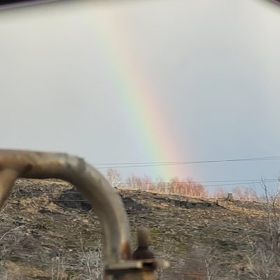 Briishiftingear's profile picture. 