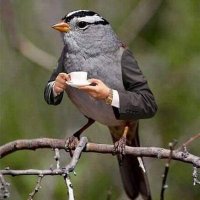 i am Aspire🌞 (@mudavanhuaspire) 's Twitter Profile