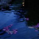 Dawn Bruno - @DawnBruno - Twitter