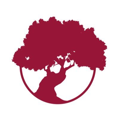 Trabajamos con el corazón para nuestra gran familia 🏡 Centros de Mayores 🧓🏻 Envejecimiento activo 🧑🏻🎓 Formación 💟 Igualdad 💼 Inserción laboral