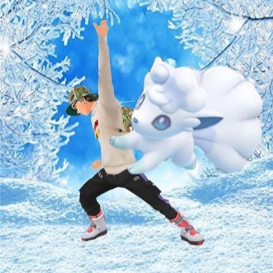 /🇯🇵ポケモン垢🇯🇵/🦋関東圏でポケ活(ほぼ埼玉県)🦋/🐬青チーム🐬/❄️アローラロコン❄️/🍀モクロー🍀/