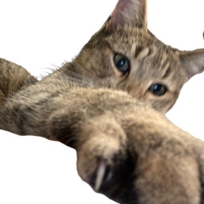 PorteTonEspoir's profile picture. 🇧🇪 🇵🇱 🇧🇾 = 100 % 🇫🇷 . 🌍 Développement Durable = Capital 💶💸 = Non Durable. 🔥🌊 . Climat Urgence 🚨