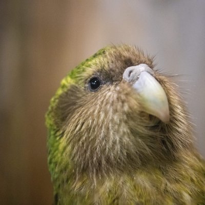 DPhotos91's profile picture. Teorico del relax attivo, evangelista del pensiero morbido, asceta 2.0, paladino del massimo risultato con il minimo sforzo, Nobel per la pace interiore