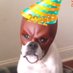 Matt Murdog (@realmattmurdog) Twitter profile photo Matt Murdog (@realmattmurdog) Twitter profile photo