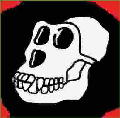 samyd23's profile picture. 