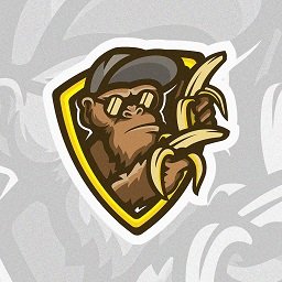 🇸🇪 Esports Organization #GoBananas

Thanks for all the memories!