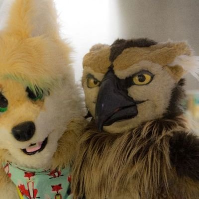 Hossburb. Fursuit 🧵✂️@laikabird w/ @DvC_Ciara parts. ❤️ @Safler ❤️ AD: @saflerfox_AD. NSFW.
Inactive account. Find me at @/laikabirb.bsky.social